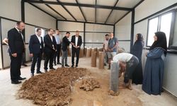 Mardin'de Geleneksel Arı Kovanı Üretim Projesi başladı