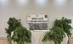 Mardin'de uyuşturucu operasyonunda yakalanan zanlı tutuklandı