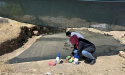 Mezar kazarken bulunan mozaikte içinde haç motifi bulunan "Davud Yıldızı" sembolü tespit edildi