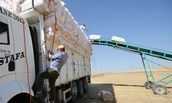 Saman işçileri sıcak hava ve toza karşı ekmek mücadelesi veriyor