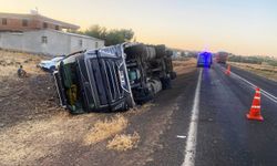 Şanlıurfa'da hayvan yüklü tırın devrilmesi sonucu 2 kişi yaralandı