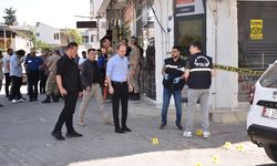 Şanlıurfa'da silahlı saldırıda 2 kişi yaralandı