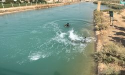 Şanlıurfa'da sulama kanalına giren kişi kayboldu