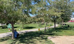 Şanlıurfa'da termometreler 55 dereceyi gösterdi