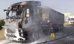 Şanlıurfa'da tırda çıkan yangını itfaiye ekipleri söndürdü