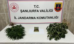 Şanlıurfa'da uyuşturucu ve silah kaçakçılığı operasyonunda 6 şüpheli yakalandı