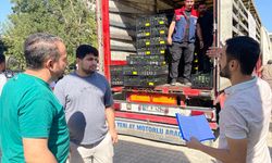 Siirt'te marul ve karnabahar fidesi dağıtıldı