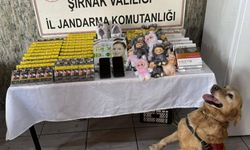 Şırnak'ta kaçakçılık ve asayiş operasyonlarında 32 kişi hakkında işlem yapıldı