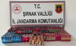 Şırnak'ta kaçakçılık ve asayiş operasyonlarında 35 kişi hakkında işlem yapıldı