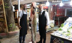 2 metre 20 santimetre uzunluğunda yayın balığı yakalandı
