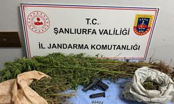 Şanlıurfa'nın 6 İlçesinde Eş Zamanlı Operasyon