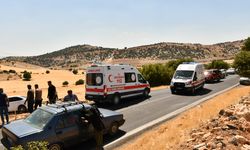 Besni'de devrilen otomobildeki 6 kişi yaralandı