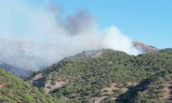 Adıyaman’da kırsal yangına müdahale bekleniyor