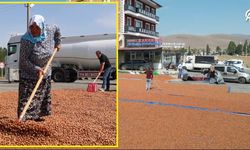 Trabzon’da Üretip, Bayburt’ta Kurutuyorlar…