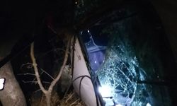 Besni’de sürücünün aracı şarampole uçtu: 2 yaralı 