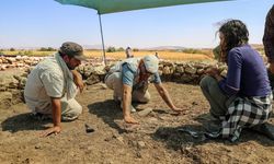 Çayönü Tepesi'nde 9 bin 500 yıllık 'Kamusal Yapı' bulundu