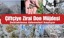 Don Mağduru Çiftçilere Destek Ödemesi Yapılacak