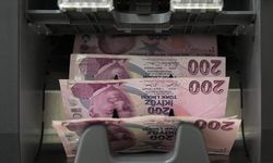 2 Milyon TL İş Kurma ve Geliştirme Desteği