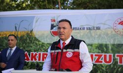 Diyarbakır'da '15. Diyarbakır Karpuzu Tanıtım Etkinlikleri' düzenlendi