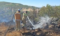 Diyarbakır'da 3 ayrı noktada çıkan örtü yangınları söndürüldü