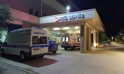 Diyarbakır'da düğünde çıkan kavgada 2 kişi hafif yaralandı