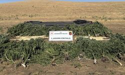 Diyarbakır'da bir uyuşturucu operasyonu daha