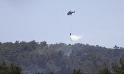 GÜNCELLEME - Milas'ta çıkan orman yangınına havadan ve karadan müdahale ediliyor