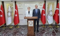 İngiltere'nin Ankara Büyükelçisi Jill Morris, Mardin Valisi Akkoyun'u ziyaret etti