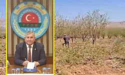 Badem Fiyatına Kâhta’dan Tepki!