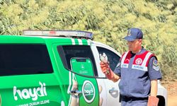 Kilis'te yaralı bulunan ak çaylak kuşu koruma altına alındı
