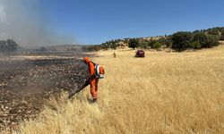 Mardin'de ormanlık alanda çıkan yangına müdahale ediliyor