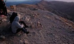 Nemrut Dağı’nın Gözdesi "Tilki" Turistlerin Gözdesi Oldu
