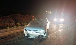 Şanlıurfa'da devrilen otomobilin sürücüsü yaralandı