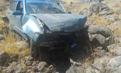 Şanlıurfa'da şarampole devrilen otomobildeki 4 kişi yaralandı