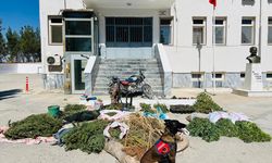Şanlıurfa'da uyuşturucu operasyonunda 3 şüpheli yakalandı