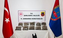 Şanlıurfa'da uyuşturucu operasyonunda 6 zanlı tutuklandı