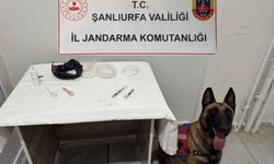 Şanlıurfa'da uyuşturucu operasyonunda bir şüpheli yakalandı