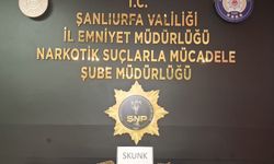 Şanlıurfa'da uyuşturucu operasyonunda yakalanan zanlı tutuklandı