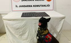 Şanlıurfa'da uyuşturucu ve silah kaçakçılarına operasyon