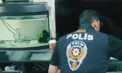 Siber suçlarla mücadele: 5 günde 55 kişi tutuklandı  - Videolu Haber