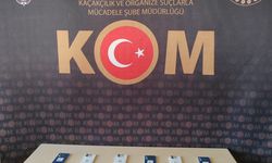 Şırnak kaçakçılık operasyonlarında 44 şüpheli hakkında işlem yapıldı