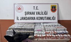 Şırnak'ta kaçakçılık ve asayiş operasyonlarında 2 kişi tutuklandı