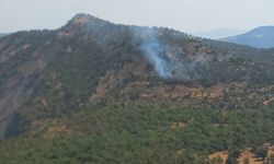 Şırnak'ta Korkutan Orman Yangını!