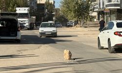 Yerinden çıkan rögar kapağı tehlike saçıyor!