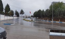 Besni’de Kuraklık Sonrası Yağmur Çiftçiye Umut Oldu