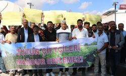Adıyaman'da tütün üreticileri meydana indi