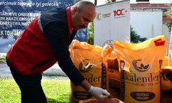 Batman'da çiftçilere 152 ton mercimek tohumu dağıtıldı
