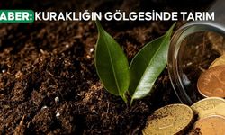 Çiftçilere 2,5 milyar lira kuraklık tazminatı