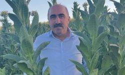 DEVA Partisi’nden tütün alım kararına tepki