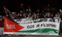Diyarbakır'da İsrail'in Küresel Sumud Filosu'na saldırısı protesto edildi